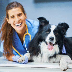 Curso Auxiliar de Veterinário